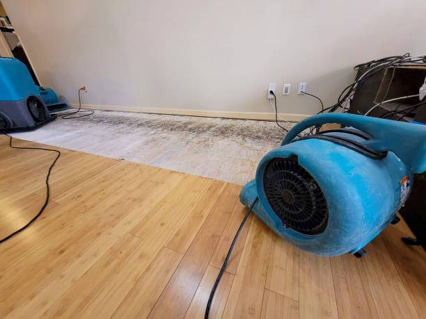 Professional Water Removal technician working in Sugar Hill, NH